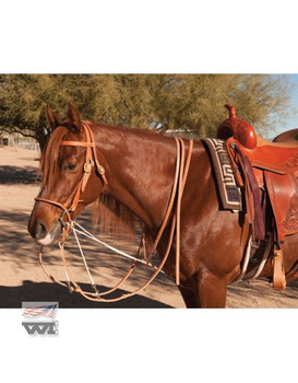 German Martingale PROFESSIONAL'S CHOICE