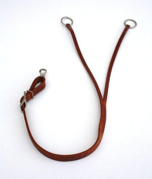 Trainings Fork - Harness