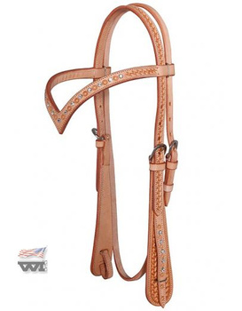 bridle wi proline