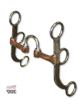 bit professional´s choice bob avila correction