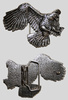 ILC Belt Buckle - Fighting Eagle - 1770-53