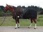 TOUGH HORSE - Regendecke - HALF NECK - MIT Unterdecke (100gr.) - 1680D - BRAUN - 74 bis 80
