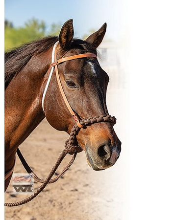 Hackamore PROFESSIONAL'S CHOICE Loping