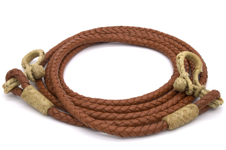 reins leather lptrick plecione