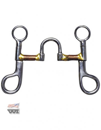 bit wi trainingsbit correction