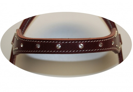 EE Tack Kopfstück - SHOW - Stirnband - AE108