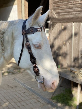 bridle lptrick ciemnobrązowe w stylu vintage
