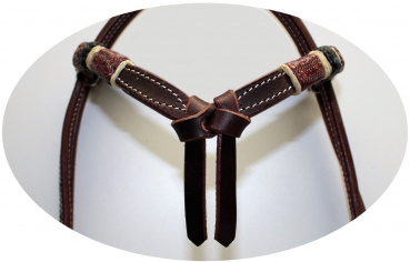 EE Tack Kopfstück - SHOW - Fut. Stirnband - AG-102