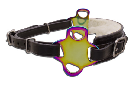 Hackamore gwiazda LpTrick Rainbow