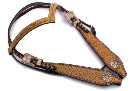 bridle lptrick z klamrami w kolorze miedzi