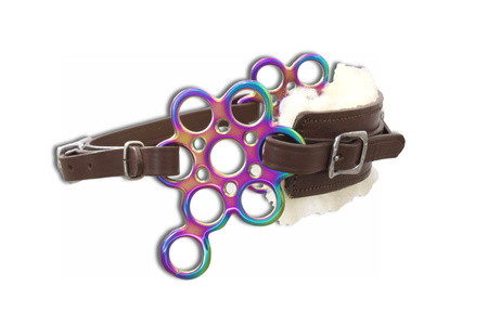 Hackamore flower LpTrick Rainbow