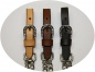 EE Tack Kinnketten - Show - Stones on Buckle & Chain - 3 Farben