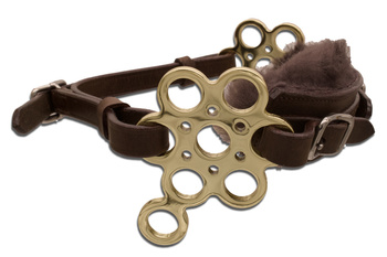 Hackamore flower LpTrick Gold